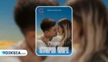 Novel YOUR STUPID WIFE karya Reinee, Kisah Cinta Rea dan Devon