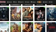 Rebahin & LK21 Tutup? Ini Alternatif Nonton Film Terbaru yang Aman & Legal!