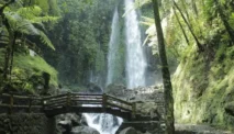Air Terjun Jumog, Surga Tersembunyi di Kaki Gunung Lawu