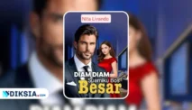 Novel Diam Diam Suamiku Bos Besar by Nita Livando