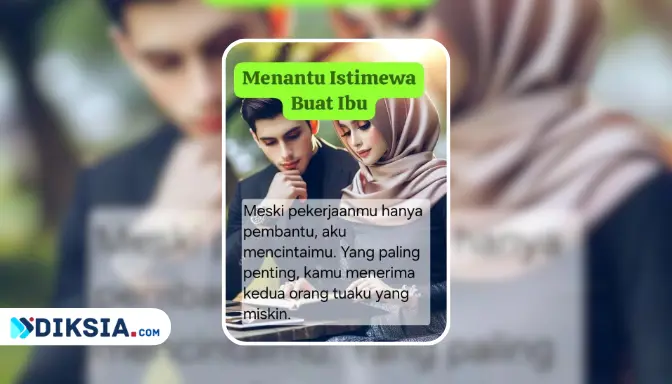 Novel Menantu Istimewa Buat Ibu by Intan Resa