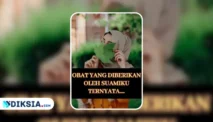 Novel Obat yang Diberikan Suamiku by Jeni Sasmita