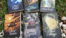 Novel Pilihan untuk Anak SMP, Bacaan Seru yang Menghibur dan Mendidik