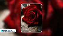 Novel Romantis Surat Terakhir Istriku by Hielmy Muthia