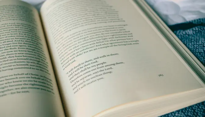 Perbedaan Cerpen dan Novel, Panduan Lengkap untuk Pencinta Sastra