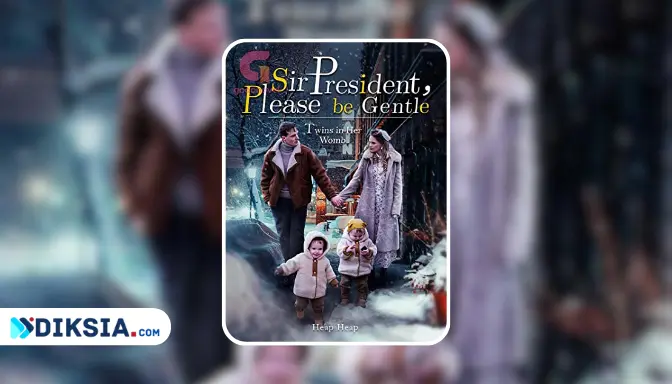 Twins in Her Womb: Sir President, Please be Gentle Novel by Heap Heap