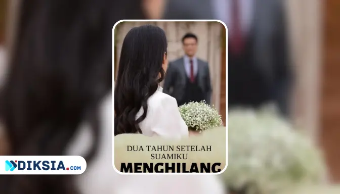 Novel Dua Tahun Setelah Suamiku Menghilang by AnnisaRyn