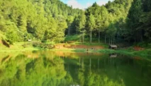 Situ Wulukut, Pesona Danau Buatan di Tengah Hutan