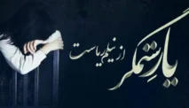 Yaar-e-Sitamgar: Novel Penuh Konflik dan Cinta Karya Neelam Riasat
