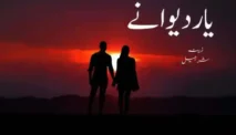 Daftar Novel Zeenia Sharjeel, Kisah Romantis yang Menggugah Hati