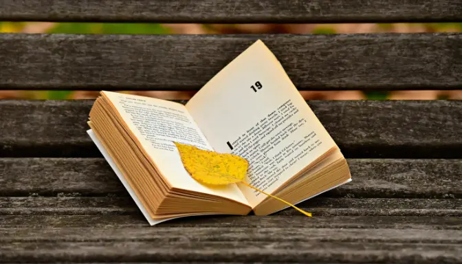 Menelusuri Kejayaan Novel 80an: Gaya, Tema, dan Pengaruhnya yang Masih Bertahan