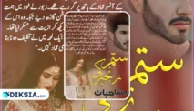 Zanjeer Novel by Ayna Baig, Kisah yang Menggugah Jiwa dan Pikiran