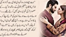 Zeenia Sharjeel, Penulis Novel Romantis yang Menggugah Hati