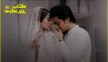 Ziddi Ishq Novel, Kisah Cinta yang Tak Kenal Menyerah