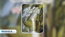 Zindagi Gulzar Hai Novel yang Menginspirasi