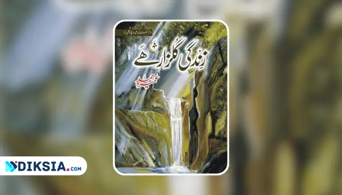 Zindagi Gulzar Hai Novel yang Menginspirasi