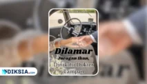 Novel Dilamar Juragan Ikan Dinikahi Dokter Tampan by Pemulung Kisah