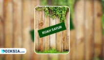 Novel Kuah Sayur by Sarah Ismail
