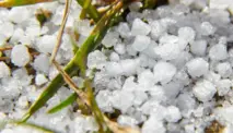 Graupel: Fenomena Cuaca Unik yang Menarik Perhatian di Awal 2025