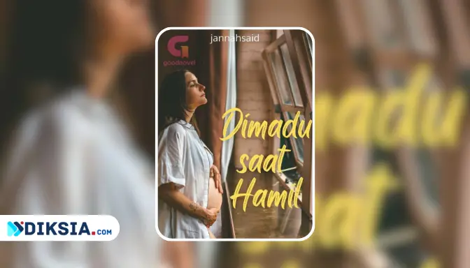 Novel Dimadu Saat Hamil by jannahsaid