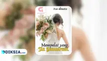 Novel Mempelai yang Tak Diharapkan by Iva Dinata