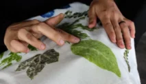 Ecoprint Jadi Cuan, 5 Peluang Usaha yang Bisa Kamu Coba Sekarang