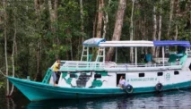 Kelotok, Perahu Motor yang Jadi Ikon Sungai Kalimantan