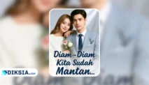 Novel Diam-Diam Kita Sudah Mantan by Nafisa Ica