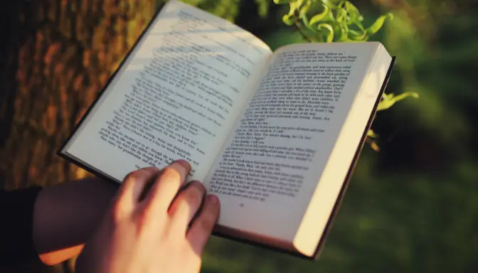 Rekomendasi Judul Novel yang Bagus untuk Dibaca di 2025