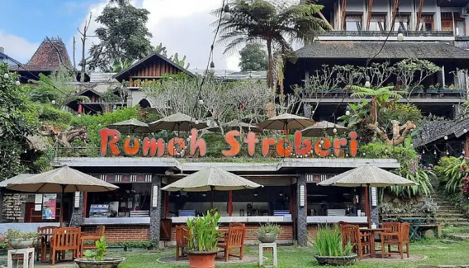 Rumah Stroberi Bandung, Destinasi Wisata Organik Terkini dengan Onsen Baru di 2025