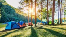 Camping Ground Kampoeng Wisata Gowes, Sensasi Menginap di Tengah Hutan Pinus!