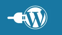 Cara Membuat Plugin WordPress Sendiri dari Nol