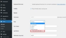 Cara Membuat dan Mengelola User Role WordPress