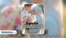 Novel Terpaksa Menikahi Sopir Bapak by Banyu Biru