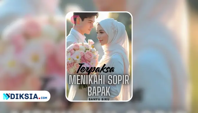 Novel Terpaksa Menikahi Sopir Bapak by Banyu Biru