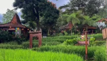 Sawah Segar Sentul, Destinasi Kuliner Bogor Kekinian Rasa Pedesaan