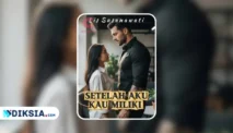 Novel Setelah Aku Kau Miliki by Lis Susanawati