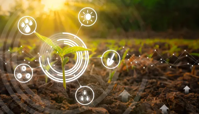 4 Komponen Utama yang Dibutuhkan Tanaman untuk Fotosintesis