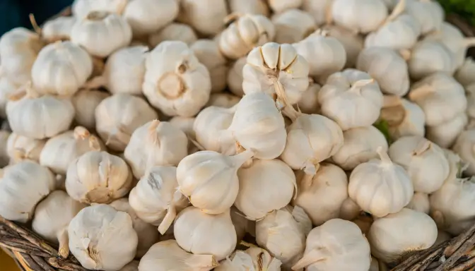Efek Samping Bawang Putih Mentah bagi Kesehatan yang Jarang Diketahui