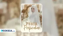 Novel Pesta Perpisahan by Lin Aiko