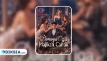 Novel Dimanja Tiga Majikan Cantik by Allina