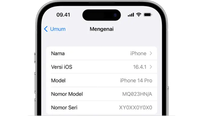 Bagaimana Jika IMEI iPhone Terblokir? Ini Dampak dan Solusinya