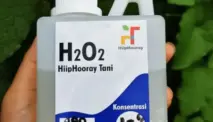 Manfaat H2O2 untuk Tanaman Hidroponik dan Tanah Biasa