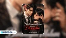 Novel Bimbingan Malam Dengan Dosenku by Bachtiar Putri